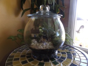 Ocean Terrarium 1